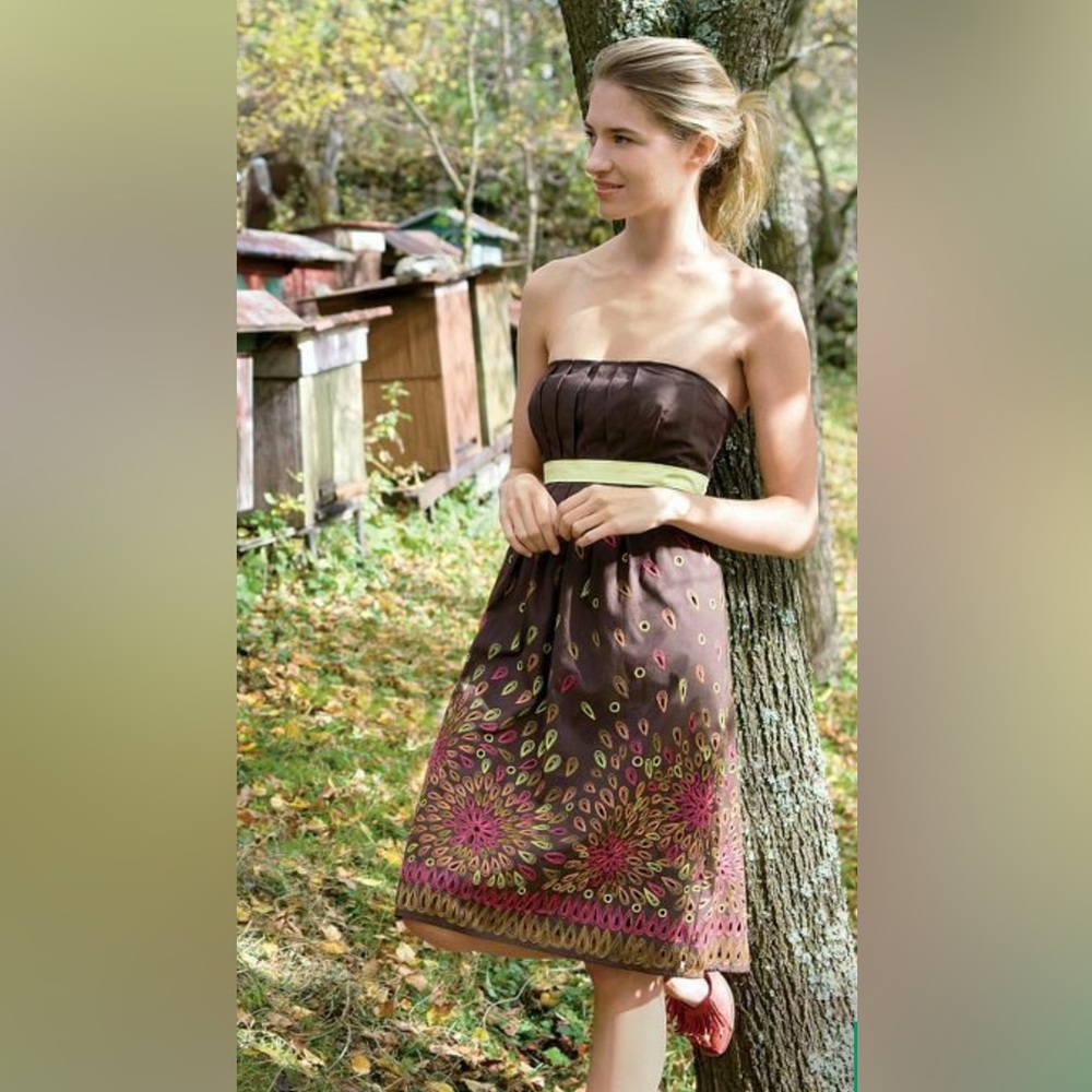 Anthropologie "Honeyhouse Dress" by Tabitha EUC